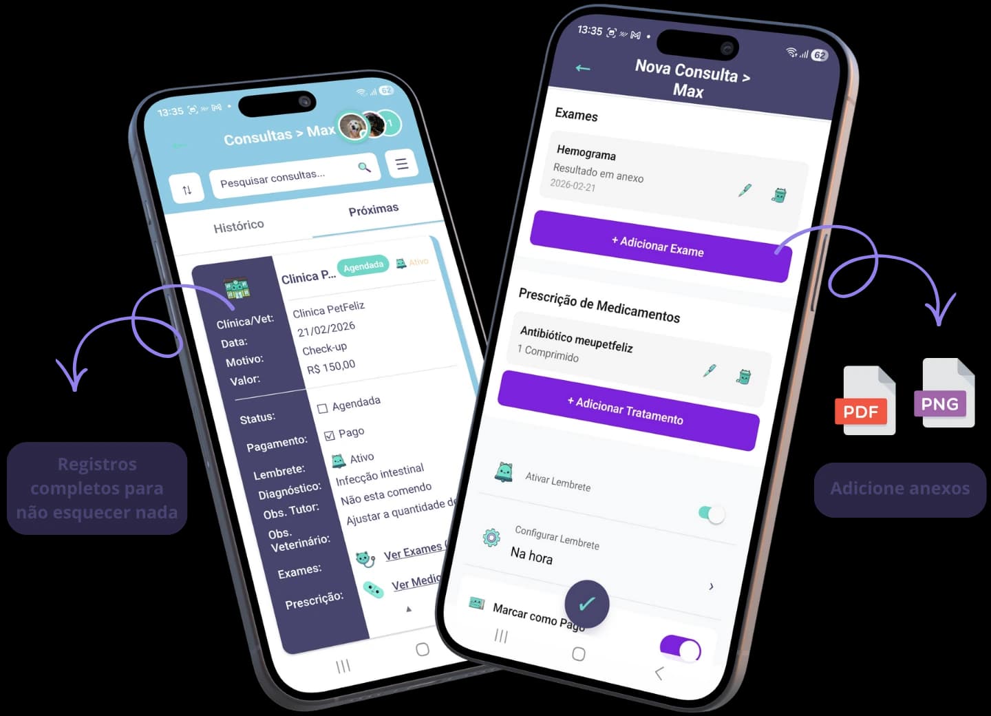 Screenshot ou ilustração de Acompanhamento Veterinário