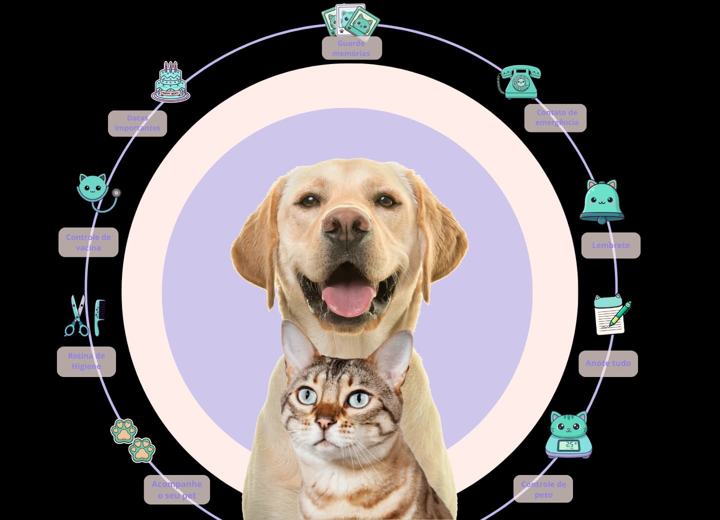 Banner principal do Meu Pet Feliz